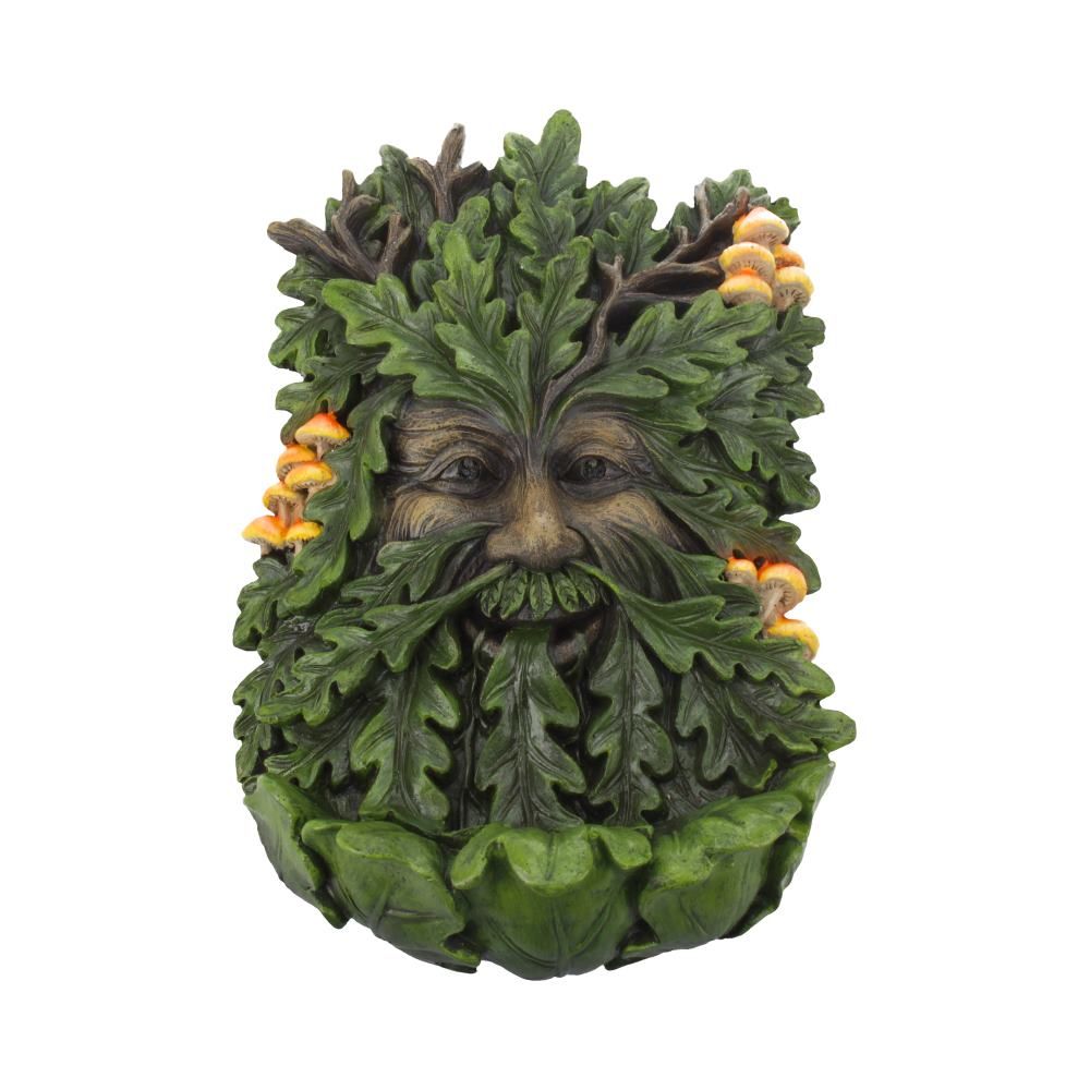 Elderwood Tree Man Wall Plaque