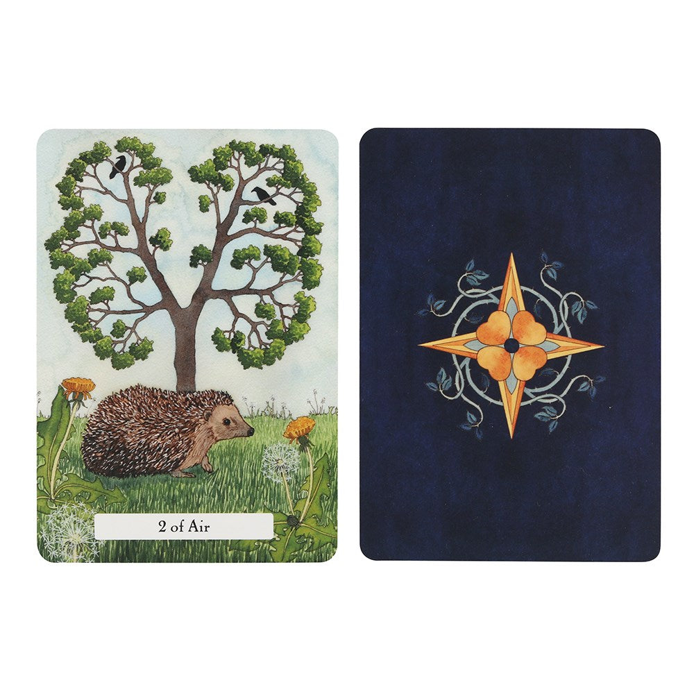 Witches' Wisdom Deluxe Tarot Set