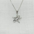 Sterling Silver Raven & Pentagram Necklace