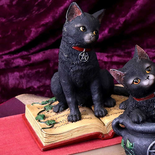 This charming cat is cast in high-quality resin before being lovingly hand-painted. Relaxing on a beautifully hand-painted spell book, this black cat has a silver pentacle medallion hanging from their red collar. A cute companion for the witch in your life.