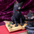 Eclipse Cat & Spell Book Figurine