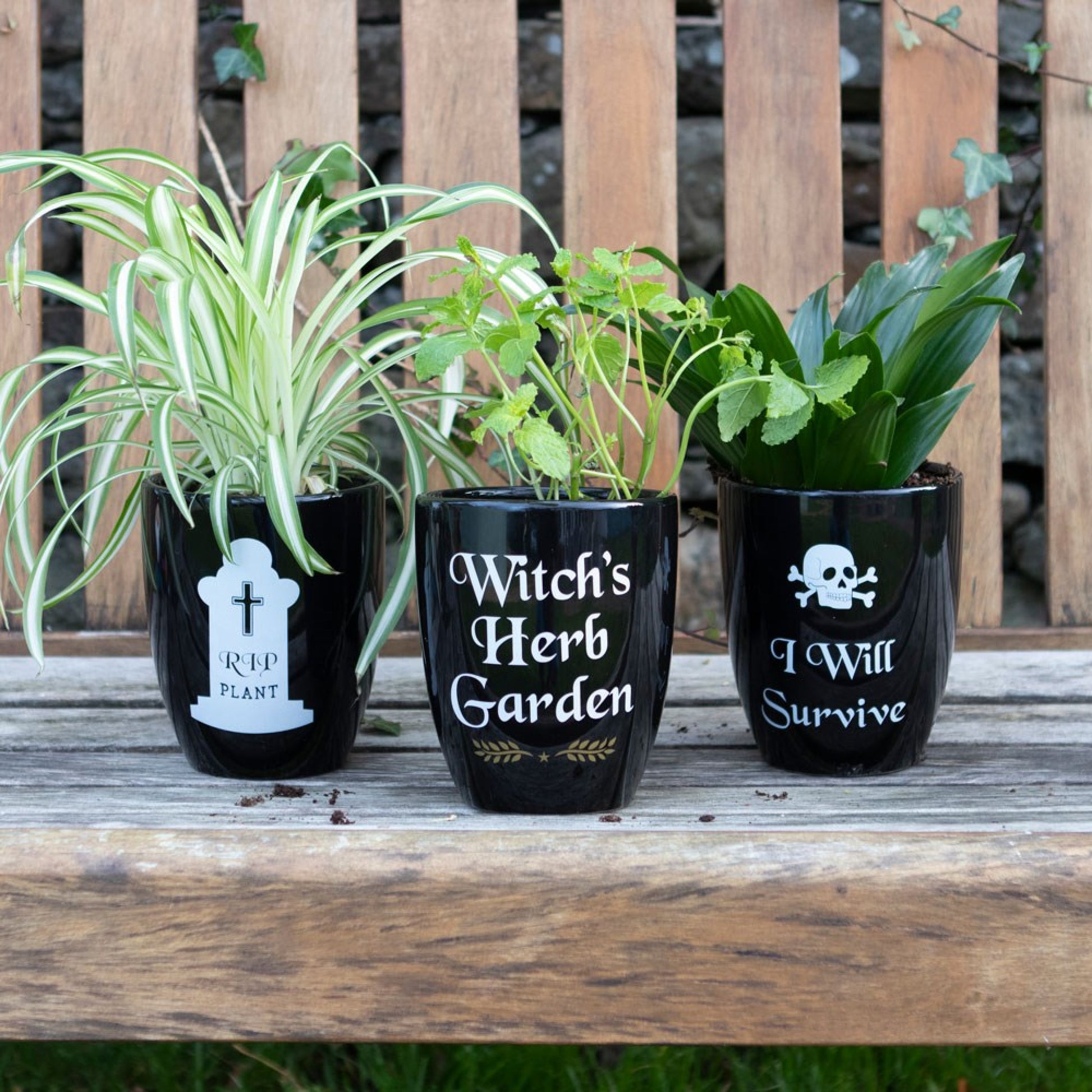 Whether grown from seed or store bought, magical herbs of all varieties will feel right at home with this witchy design. There are three to collect in this series.  This ceramic plant pot features 'Witch's Herb Garden' text accented by a simple leaf design and will look perfect on any window sill!  Perfect for green witches and spell work.   Size: H: 14.5cm x W: 12cm x D: 12cm