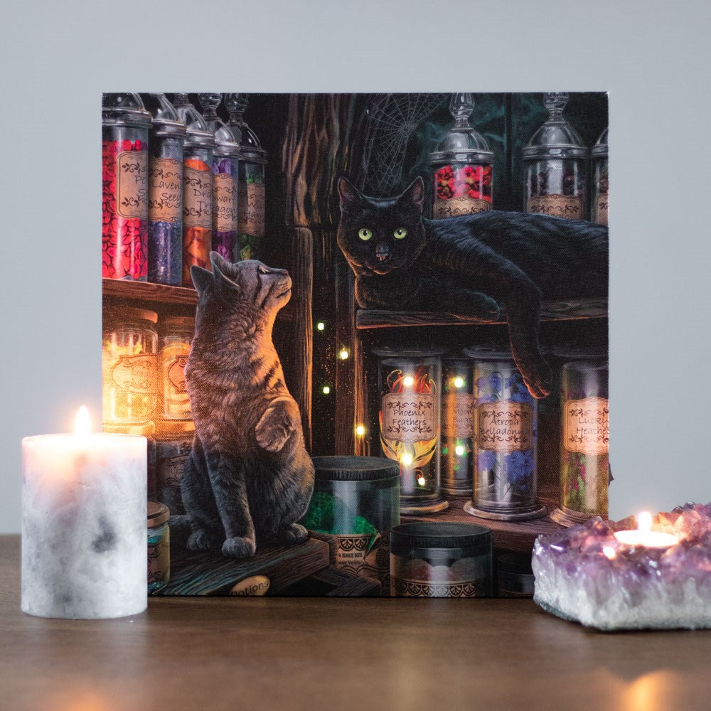 Measuring 30x30cm this square canvas features a high quality colour print of the 'Magical Emporium' artwork by popular artist Lisa Parker. Light up details bring this magical piece to life. Requires 2 x AA batteries which are not included. The switch is located on the side of the canvas.  Dimensions: H: 30cm x W: 30cm x D: 1.8cm
