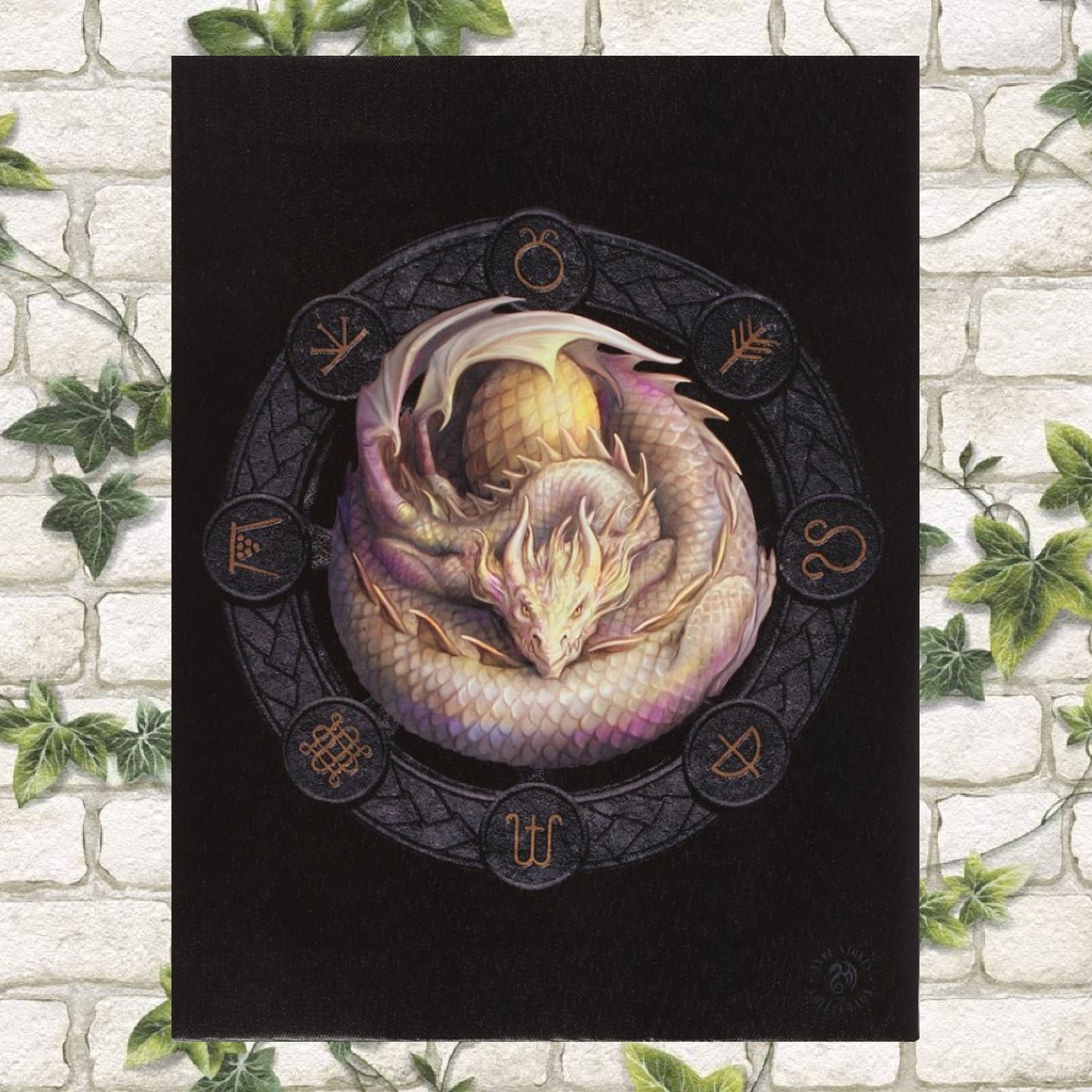 25cm x 19cm canvas wall plaque featuring a high quality, full colour print of the Ostara dragon artwork by fantasy artist Anne Stokes. Part of the Dragons of the Sabbats art series