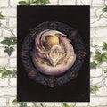 Ostara Dragon Canvas Plaque by Anne Stokes