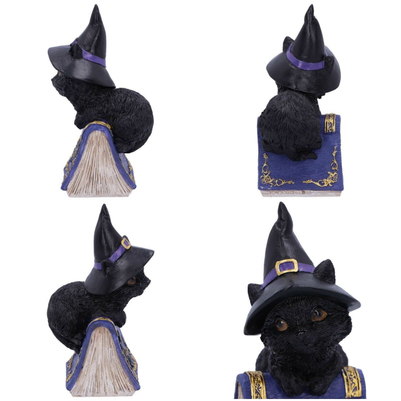 Pocus Small Witches Familiar Black Cat and Spellbook Figurine