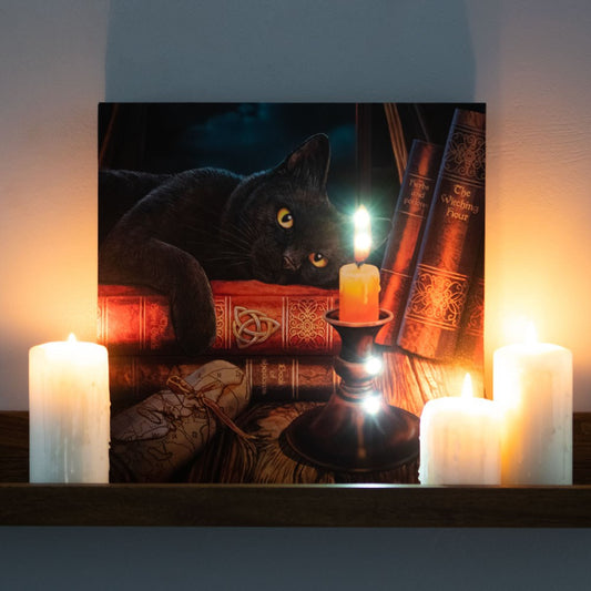 Measuring 30 x 30cm, this square canvas features a high quality colour print of the 'Witching Hour' artwork by popular artist Lisa Parker.  Light up details bring this magical piece to life.  The switch is located on the side of the canvas. Requires 2 x AA batteries.